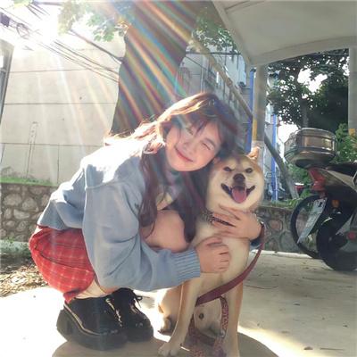 凡尔纳的伟大冒险